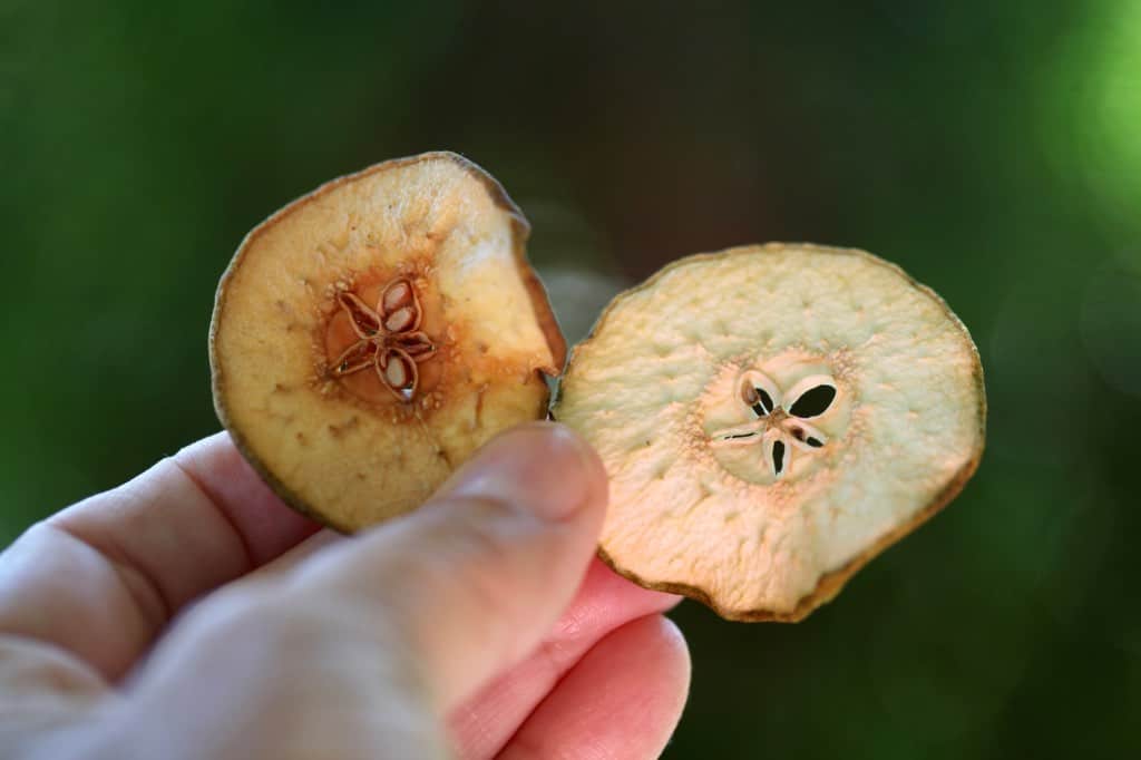 pears dehydrated in an air fryer