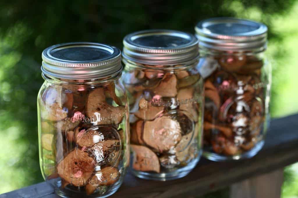 use airtight containers such as mason jars to store dehydrated pears