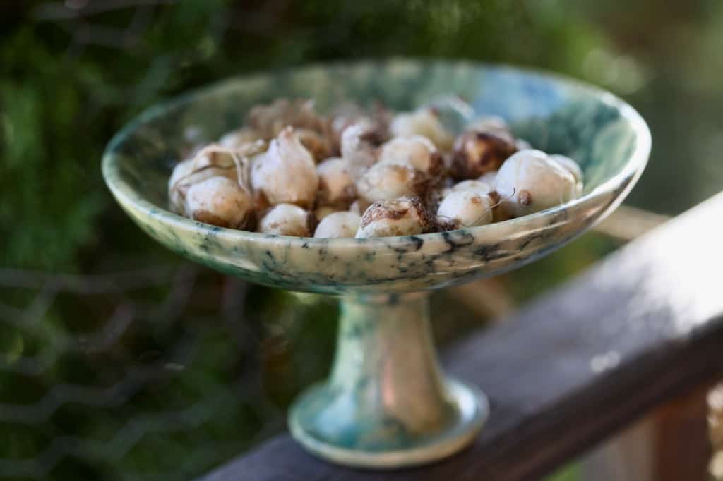 a green alabaster bowl full of muscari bulbs ready for planting