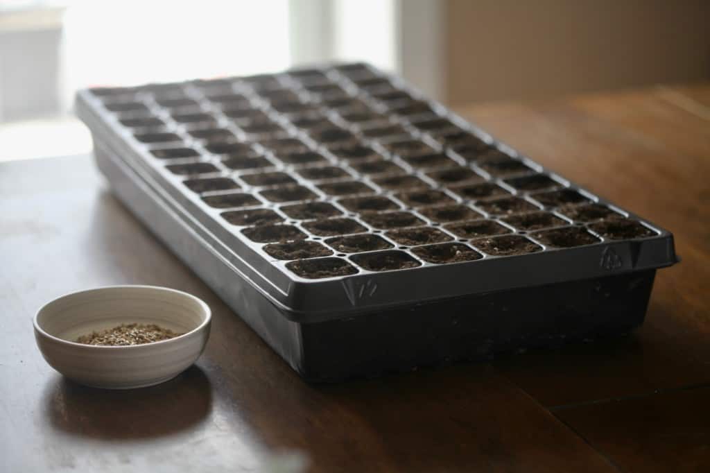a cell tray for planting seeds