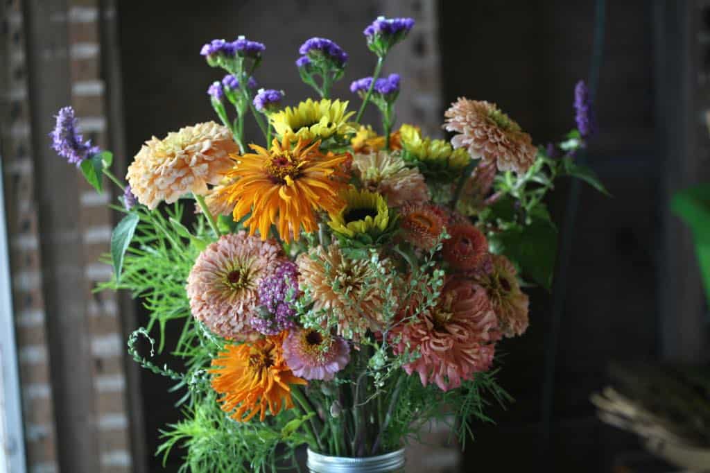 A vibrant mixed bouquet in a glass jar featuring zinnias, calendula, sunflowers, statice, and agastache, arranged with green filler foliage in a rustic indoor setting.